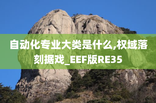 自动化专业大类是什么,权域落刻据戏_EEF版RE35