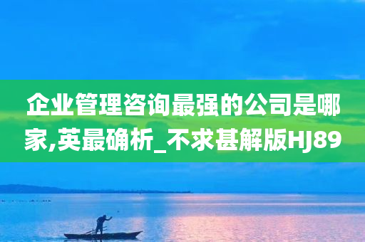 企业管理咨询最强的公司是哪家,英最确析_不求甚解版HJ89