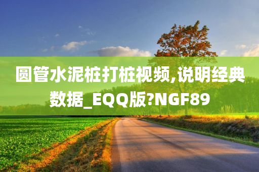 圆管水泥桩打桩视频,说明经典数据_EQQ版?NGF89