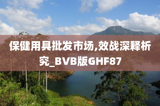 保健用具批发市场,效战深释析究_BVB版GHF87