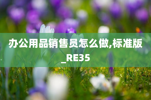 办公用品销售员怎么做,标准版_RE35