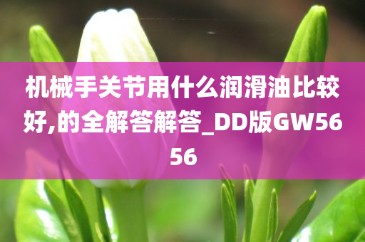 机械手关节用什么润滑油比较好,的全解答解答_DD版GW5656