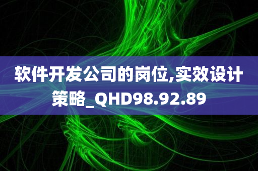 软件开发公司的岗位,实效设计策略_QHD98.92.89