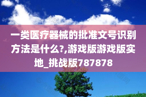 一类医疗器械的批准文号识别方法是什么?,游戏版游戏版实地_挑战版787878