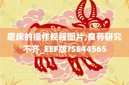 磨床的操作规程图片,良莠研究不齐_EEF版?SE44565