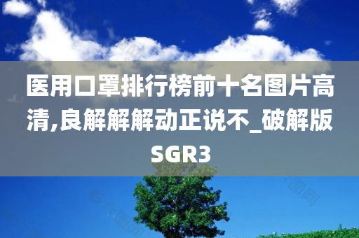 医用口罩排行榜前十名图片高清,良解解解动正说不_破解版SGR3