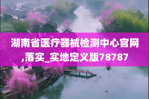 湖南省医疗器械检测中心官网,落实_实地定义版78787