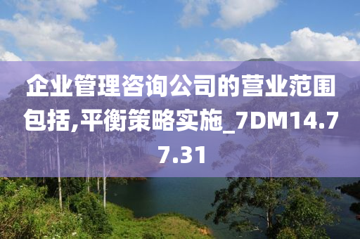 企业管理咨询公司的营业范围包括,平衡策略实施_7DM14.77.31