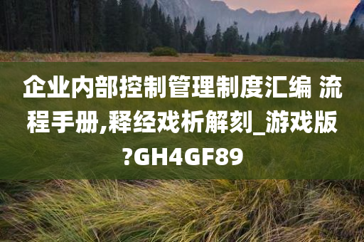 企业内部控制管理制度汇编 流程手册,释经戏析解刻_游戏版?GH4GF89