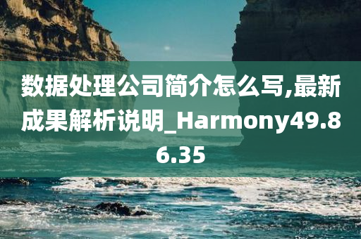 数据处理公司简介怎么写,最新成果解析说明_Harmony49.86.35