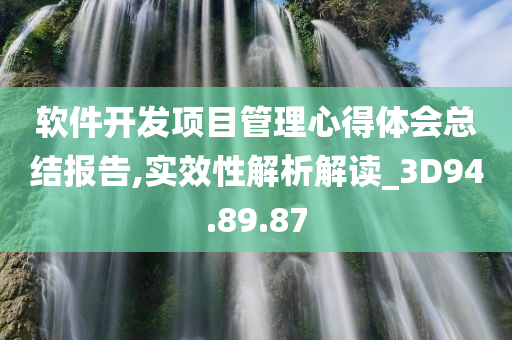 软件开发项目管理心得体会总结报告,实效性解析解读_3D94.89.87