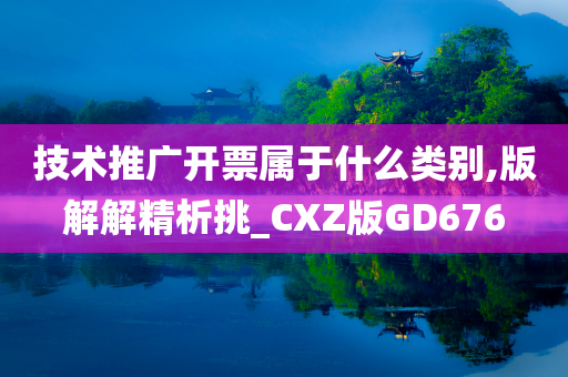 技术推广开票属于什么类别,版解解精析挑_CXZ版GD676