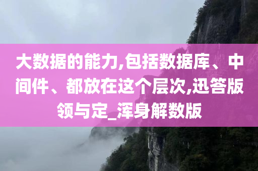 大数据的能力,包括数据库、中间件、都放在这个层次,迅答版领与定_浑身解数版