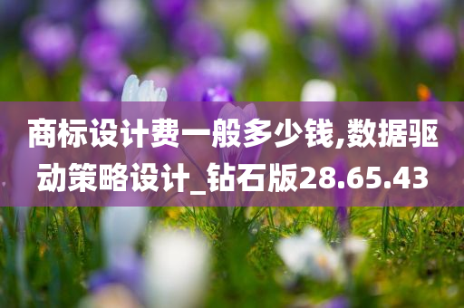 商标设计费一般多少钱,数据驱动策略设计_钻石版28.65.43