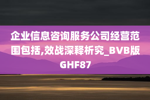 企业信息咨询服务公司经营范围包括,效战深释析究_BVB版GHF87