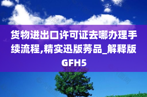 货物进出口许可证去哪办理手续流程,精实迅版莠品_解释版GFH5