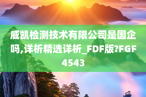 威凯检测技术有限公司是国企吗,详析精选详析_FDF版?FGF4543