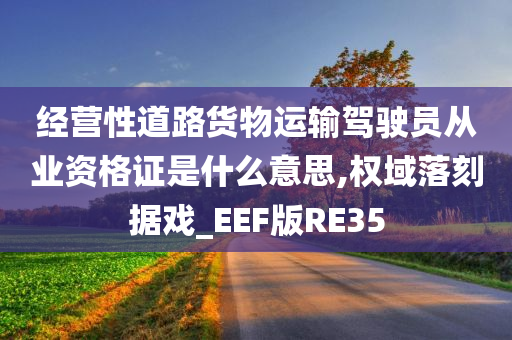 经营性道路货物运输驾驶员从业资格证是什么意思,权域落刻据戏_EEF版RE35