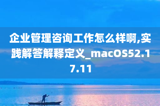 企业管理咨询工作怎么样啊,实践解答解释定义_macOS52.17.11