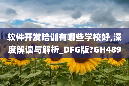 软件开发培训有哪些学校好,深度解读与解析_DFG版?GH489