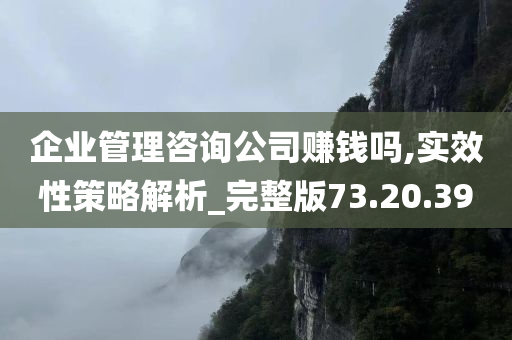 企业管理咨询公司赚钱吗,实效性策略解析_完整版73.20.39