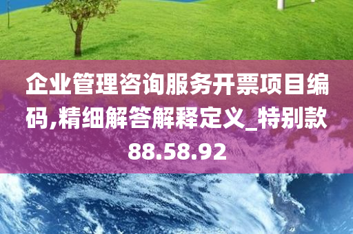 企业管理咨询服务开票项目编码,精细解答解释定义_特别款88.58.92