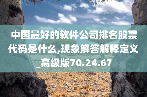 中国最好的软件公司排名股票代码是什么,现象解答解释定义_高级版70.24.67