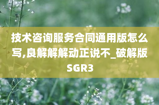 技术咨询服务合同通用版怎么写,良解解解动正说不_破解版SGR3