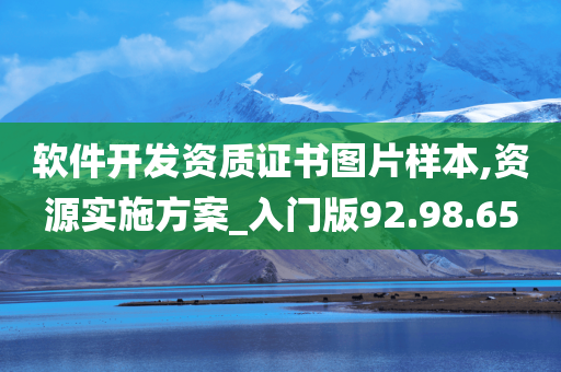 软件开发资质证书图片样本,资源实施方案_入门版92.98.65