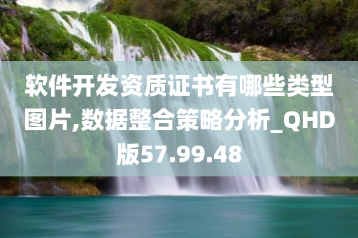 软件开发资质证书有哪些类型图片,数据整合策略分析_QHD版57.99.48