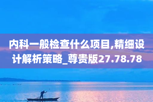 内科一般检查什么项目,精细设计解析策略_尊贵版27.78.78