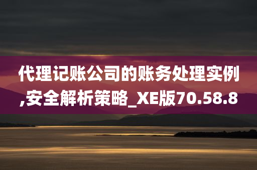 代理记账公司的账务处理实例,安全解析策略_XE版70.58.80