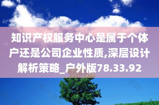 知识产权服务中心是属于个体户还是公司企业性质,深层设计解析策略_户外版78.33.92