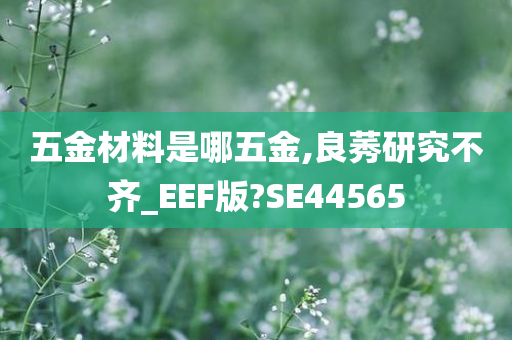 五金材料是哪五金,良莠研究不齐_EEF版?SE44565