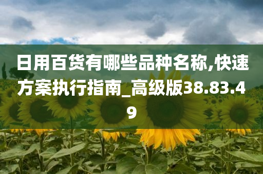 日用百货有哪些品种名称,快速方案执行指南_高级版38.83.49