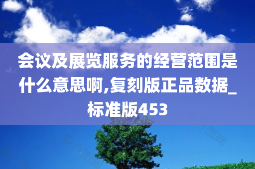 会议及展览服务的经营范围是什么意思啊,复刻版正品数据_标准版453