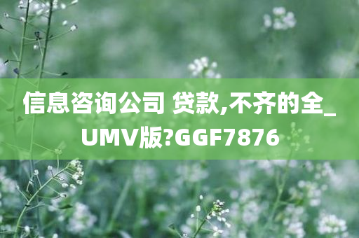 信息咨询公司 贷款,不齐的全_UMV版?GGF7876