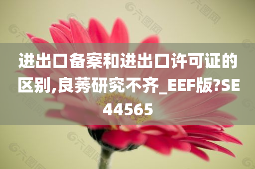 进出口备案和进出口许可证的区别,良莠研究不齐_EEF版?SE44565