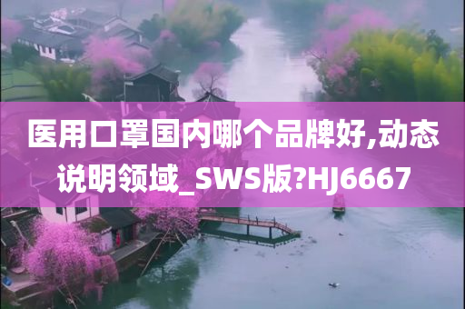 医用口罩国内哪个品牌好,动态说明领域_SWS版?HJ6667