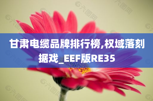 甘肃电缆品牌排行榜,权域落刻据戏_EEF版RE35