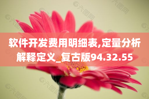 软件开发费用明细表,定量分析解释定义_复古版94.32.55