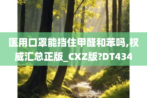 医用口罩能挡住甲醛和苯吗,权威汇总正版_CXZ版?DT434