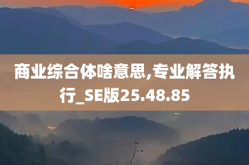 商业综合体啥意思,专业解答执行_SE版25.48.85