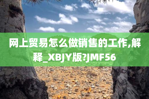 网上贸易怎么做销售的工作,解释_XBJY版?JMF56