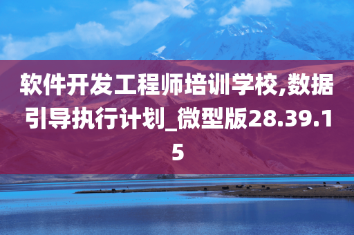 软件开发工程师培训学校,数据引导执行计划_微型版28.39.15