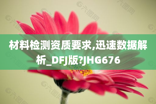 材料检测资质要求,迅速数据解析_DFJ版?JHG676