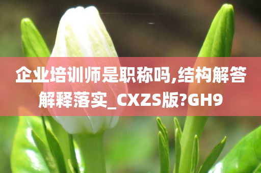 企业培训师是职称吗,结构解答解释落实_CXZS版?GH9