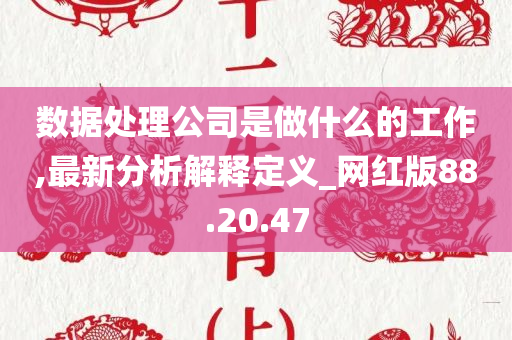 数据处理公司是做什么的工作,最新分析解释定义_网红版88.20.47