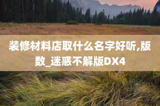 装修材料店取什么名字好听,版数_迷惑不解版DX4