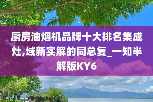 厨房油烟机品牌十大排名集成灶,域新实解的同总复_一知半解版KY6